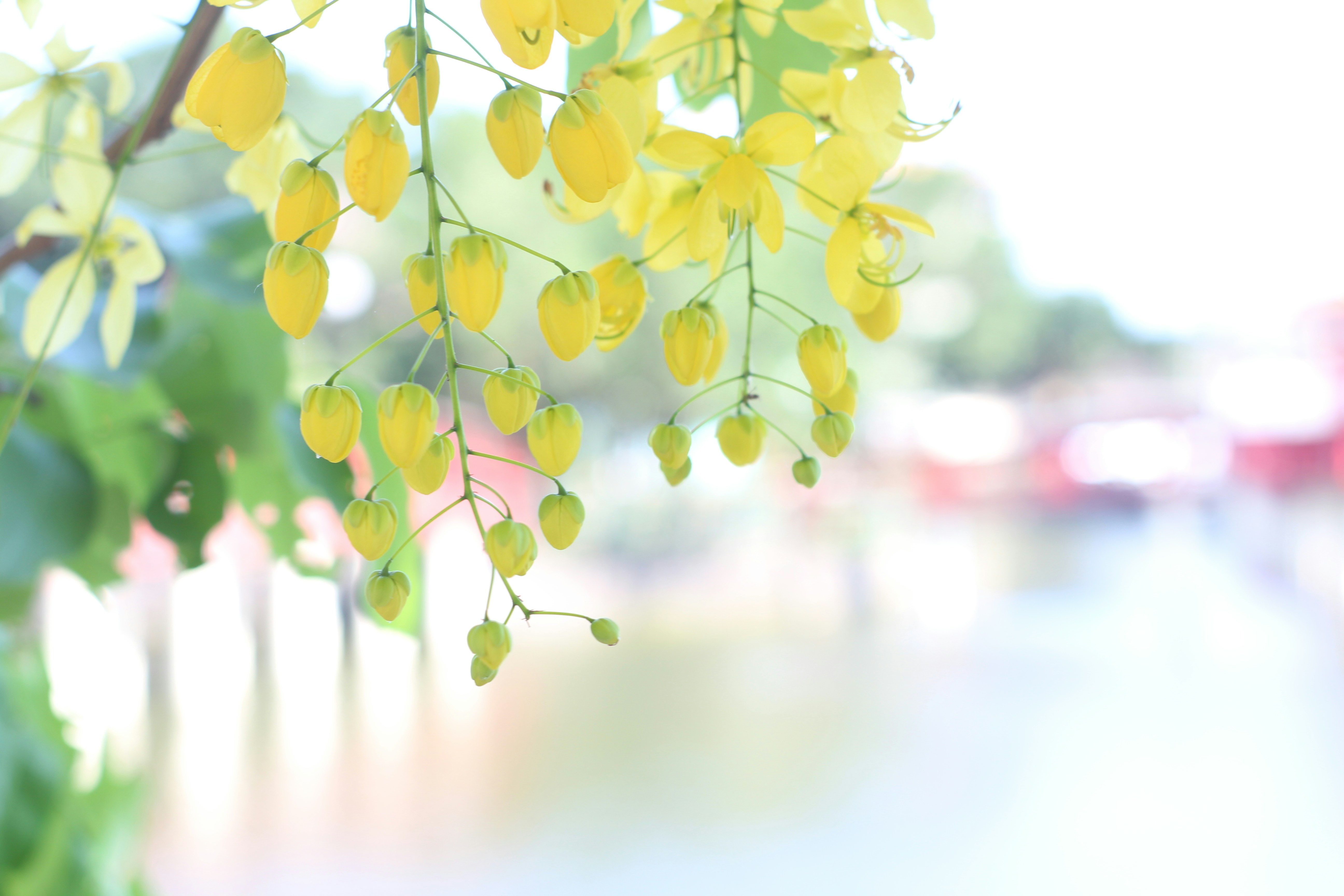 Free Unsplash photo from wu jhih-ning