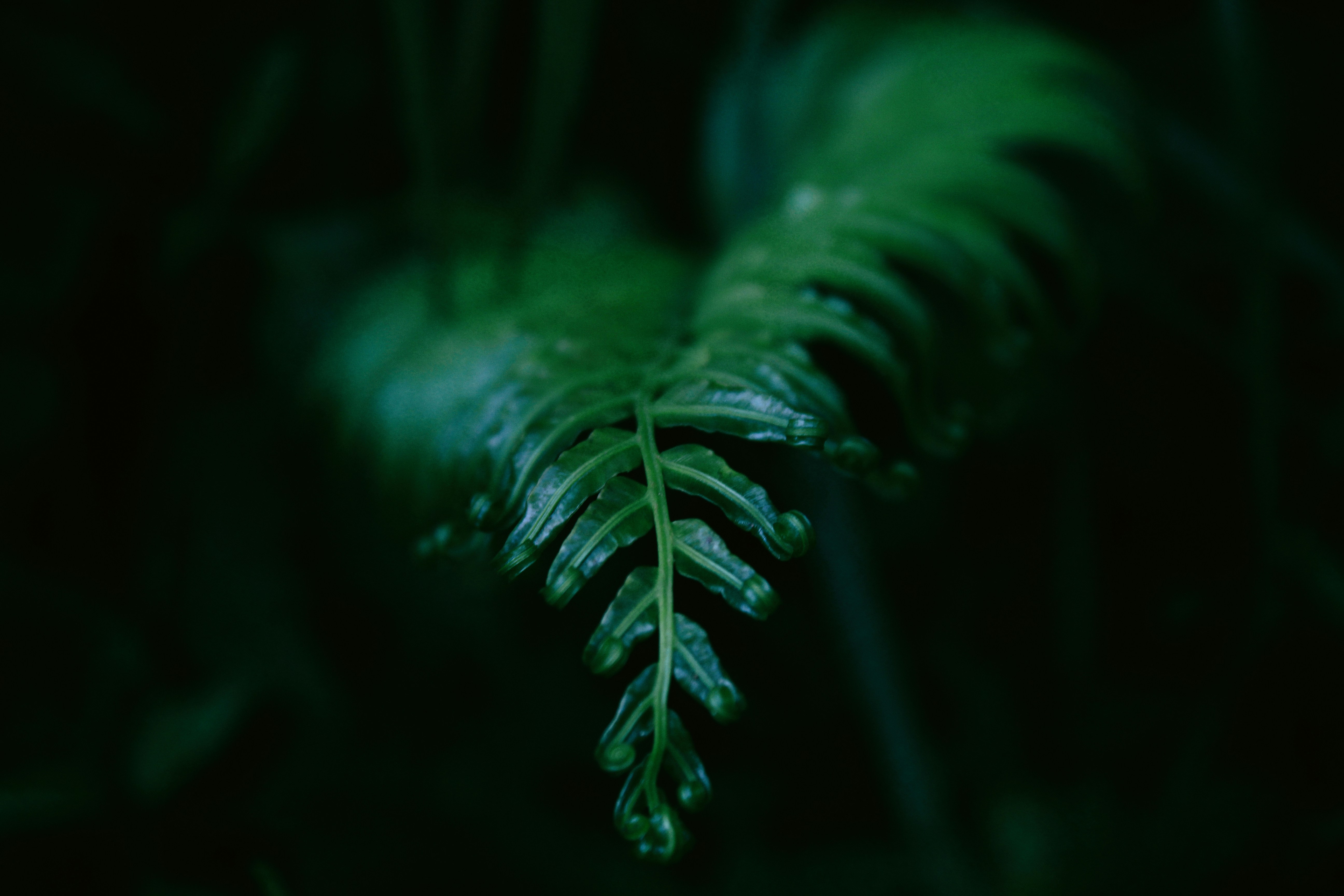 Free Unsplash photo from Larm Rmah