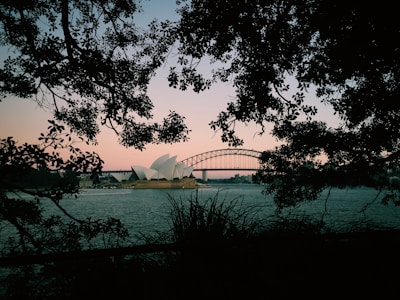 A picturesque view of the Sydney Opera House and the Harbour Bridge framed by the silhouettes of tree branches at dusk. The calm water in the foreground reflects the subtle hues of the sky which transition from pale pink to soft blue.