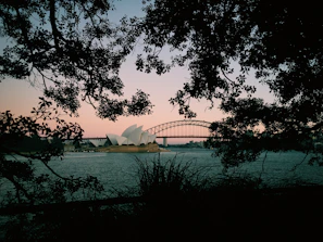 A panoramic view of Sydney's skyline at dusk, symbolizing our Australian roots.