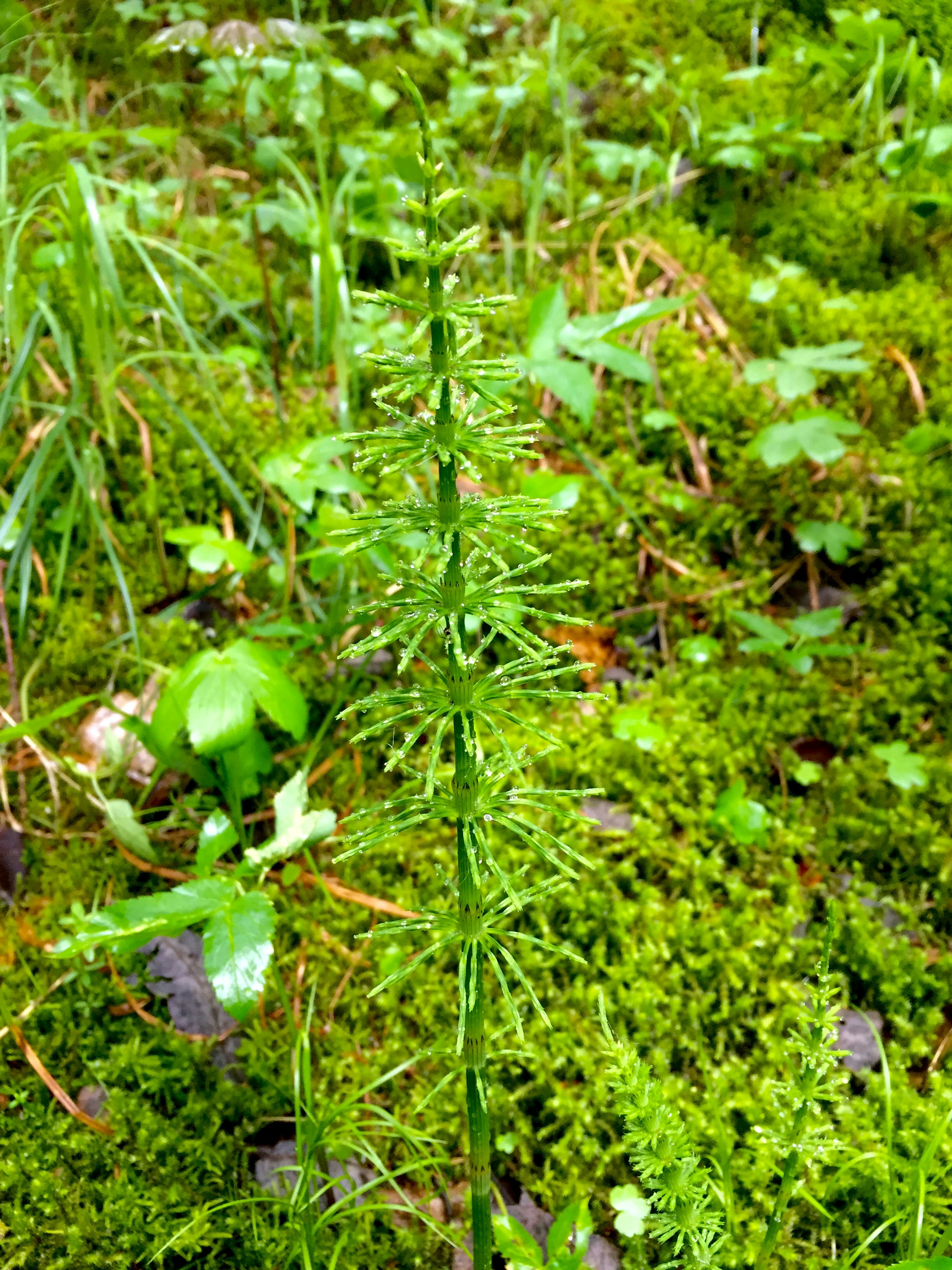 Free Unsplash photo from Peter Druska