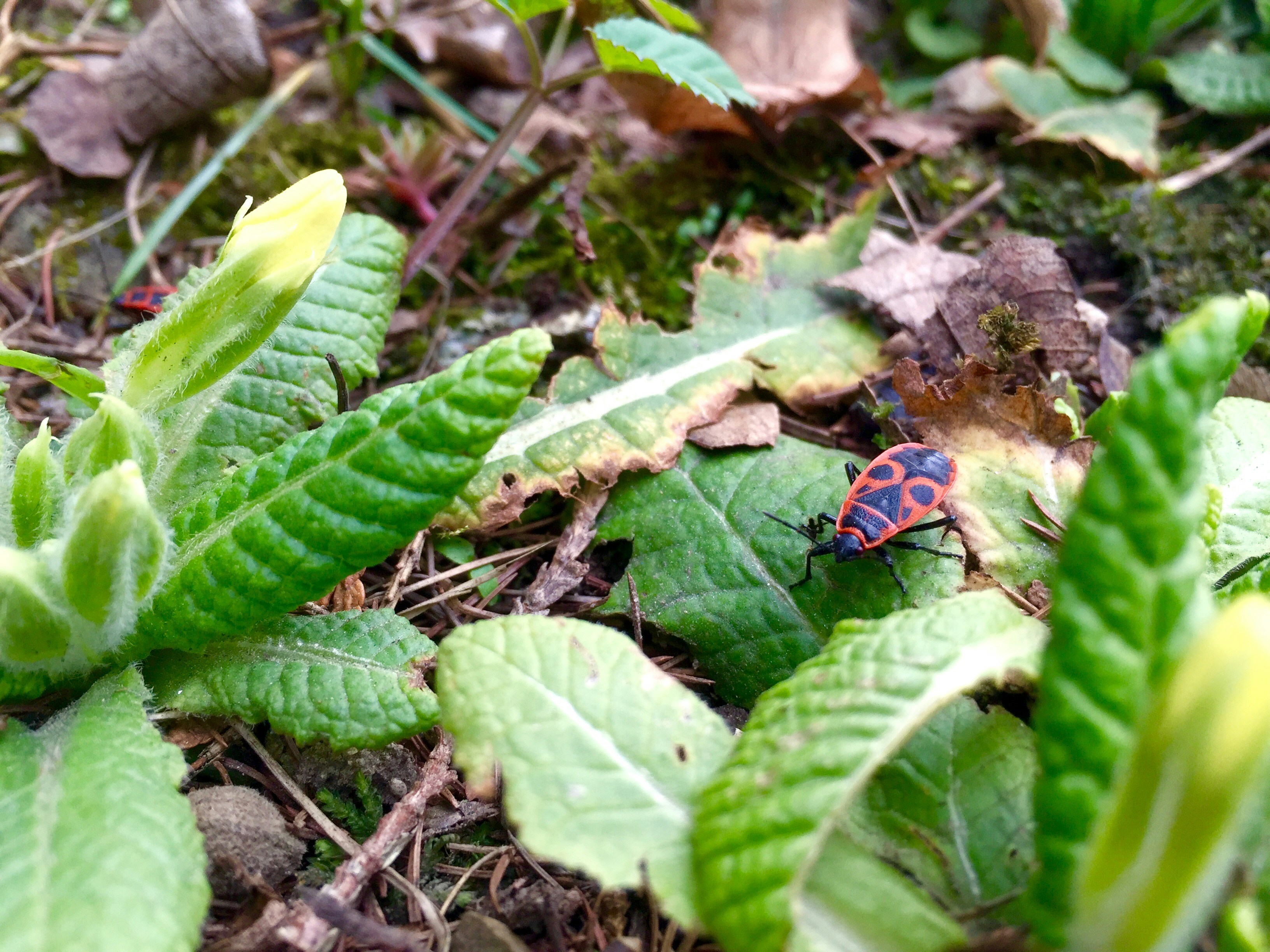 Free Unsplash photo from Peter Druska