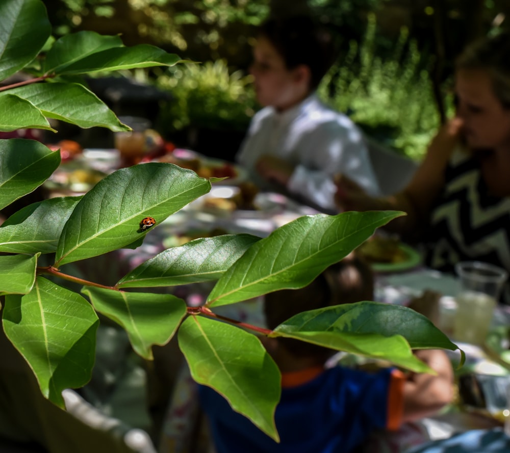 a group of people sitting around a table covered in green leaves