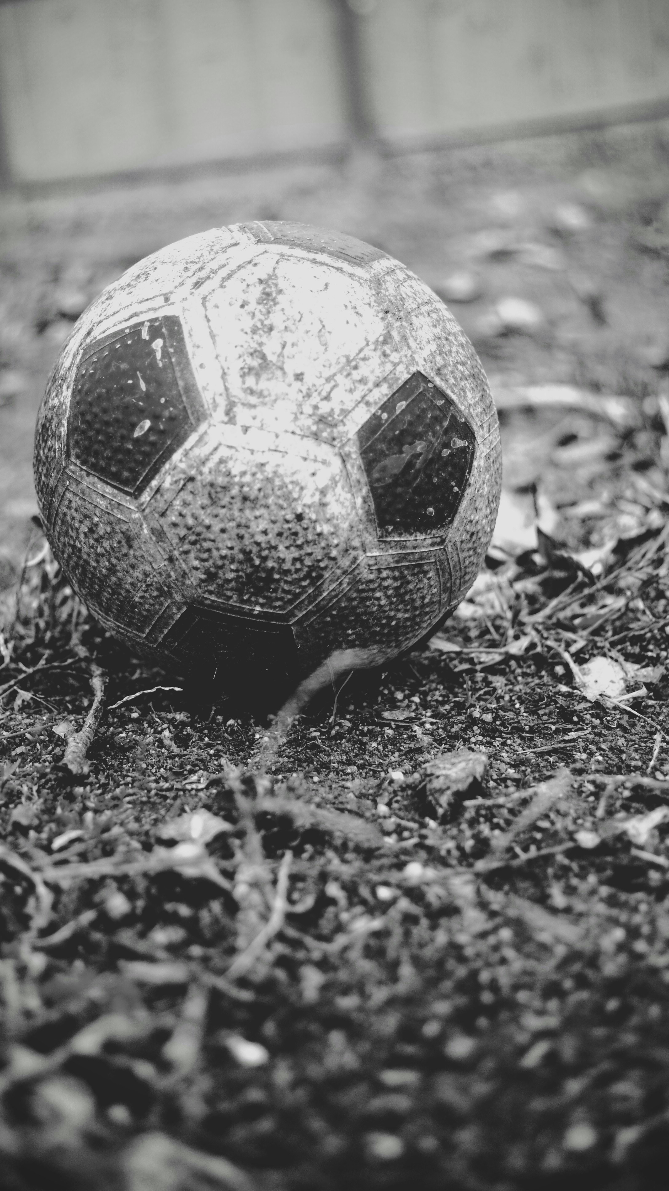 Free Unsplash photo from Yunior Soriano