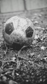 A minimalist shot of a worn-out soccer ball resting on freshly cut grass, ready for the next game.