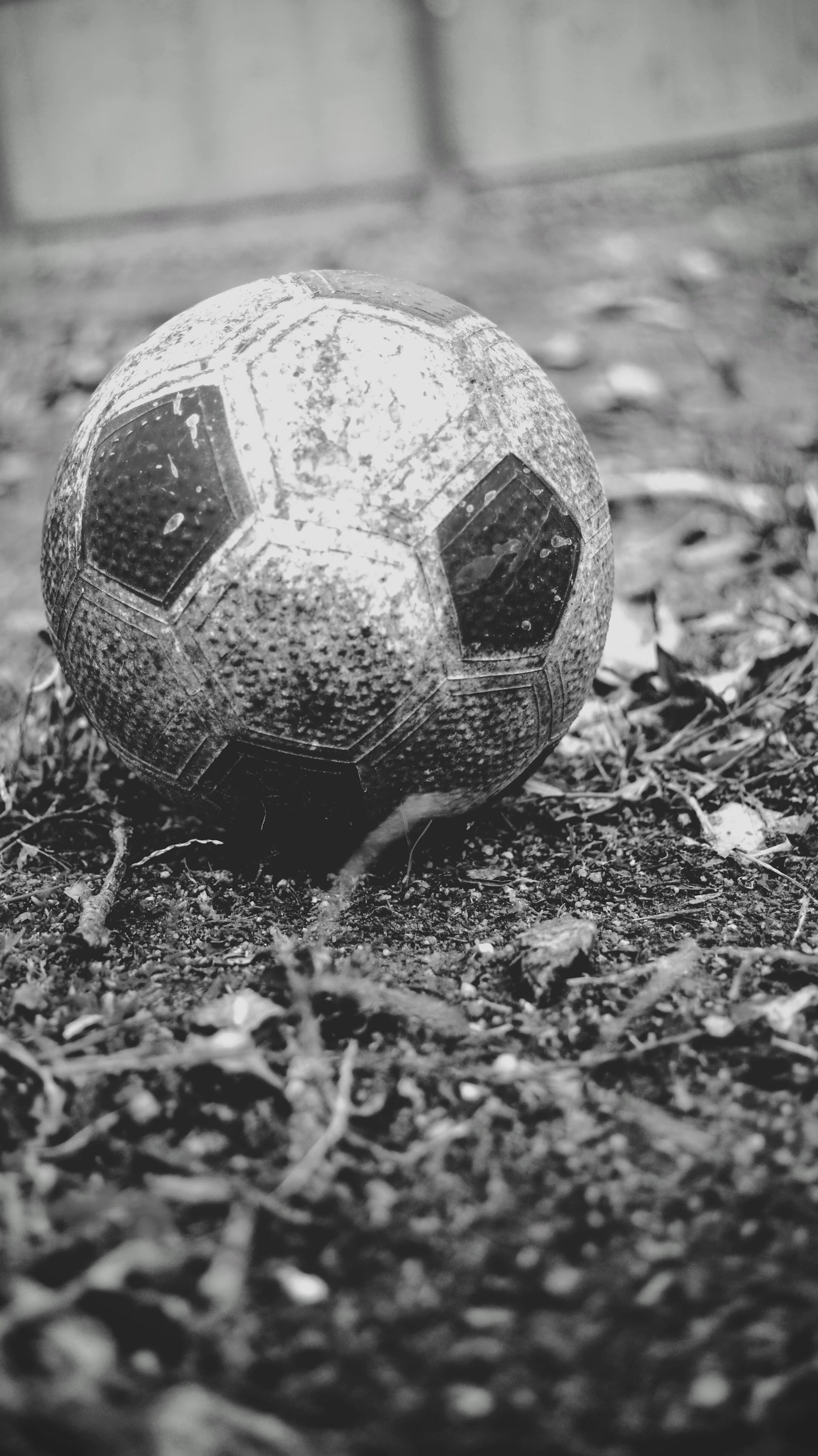 A close-up of a vintage leather football resting on lush green grass, evoking nostalgia and the history of the game.