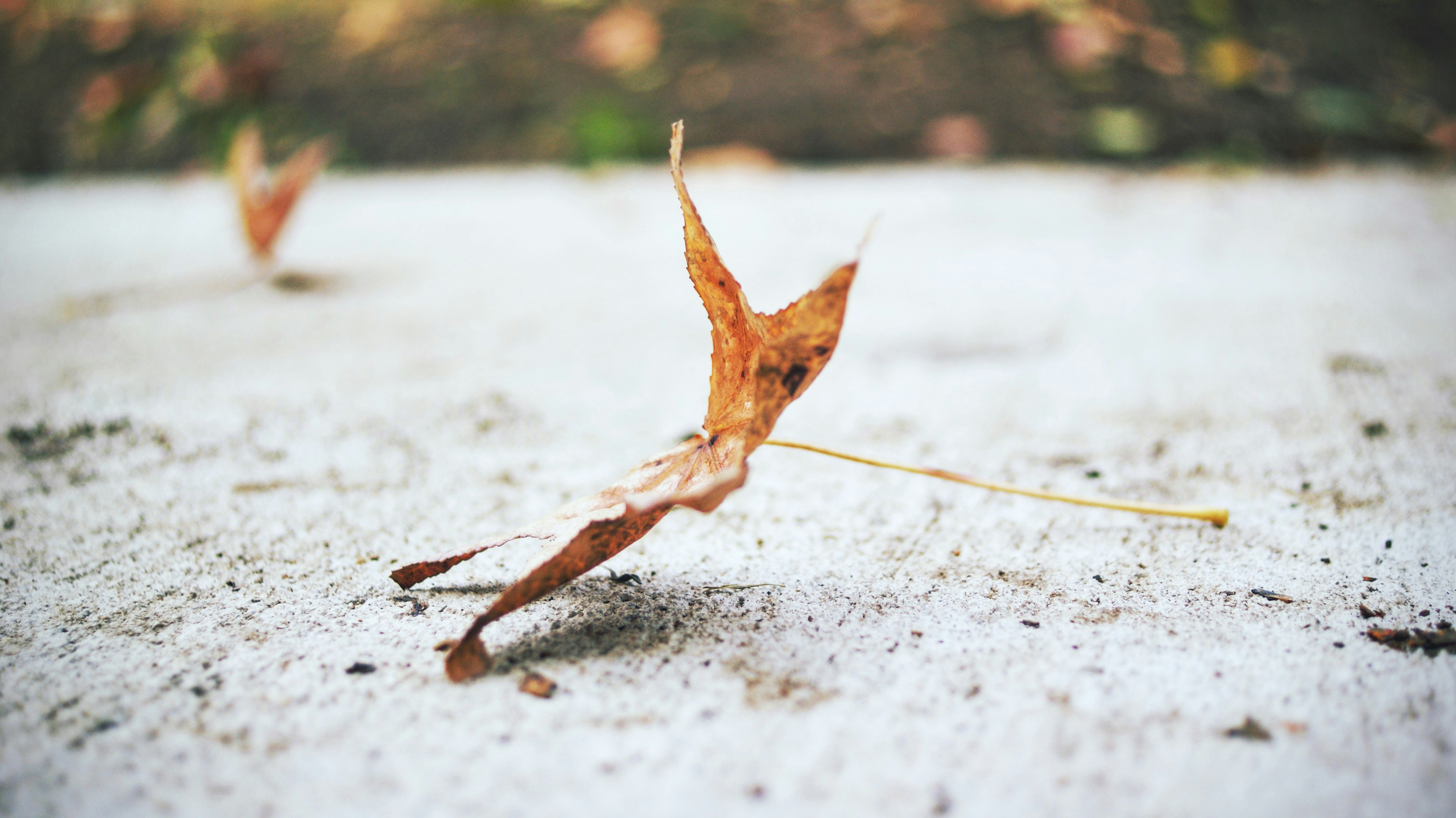 Free Unsplash photo from Yunior Soriano