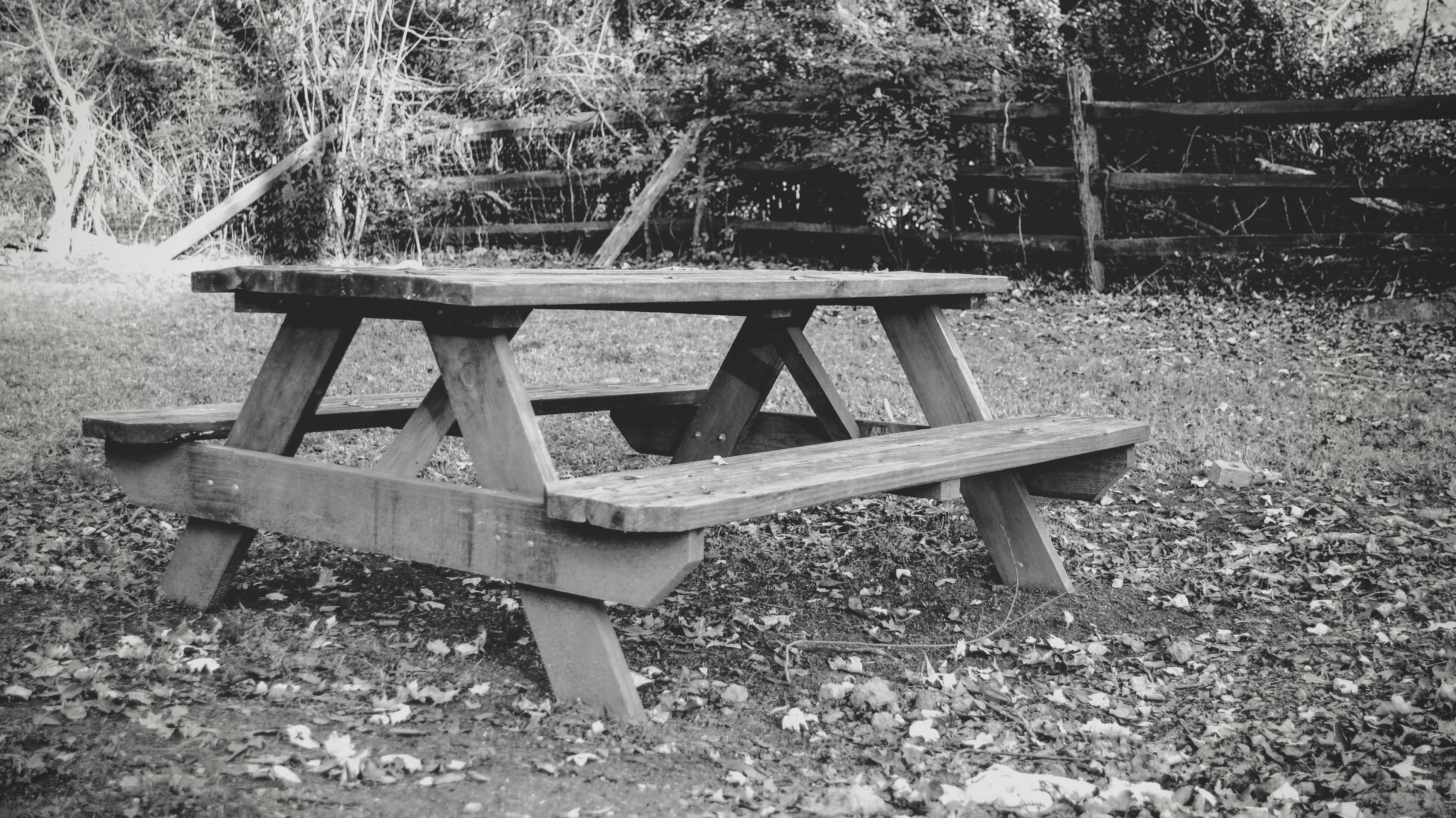 Free Unsplash photo from Yunior Soriano