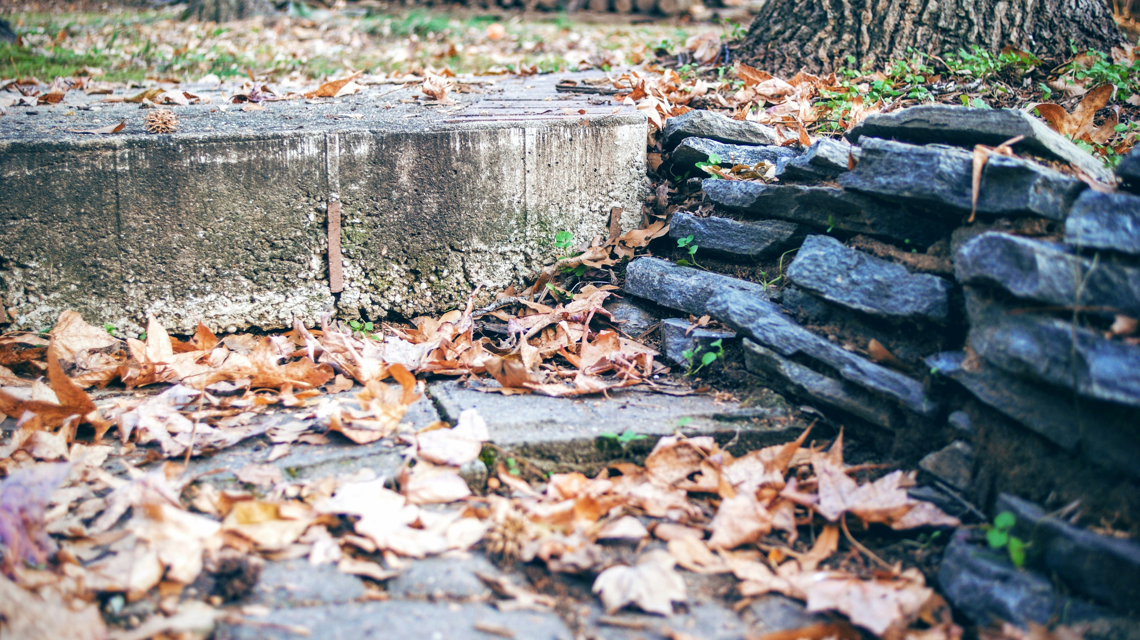 Free Unsplash photo from Yunior Soriano