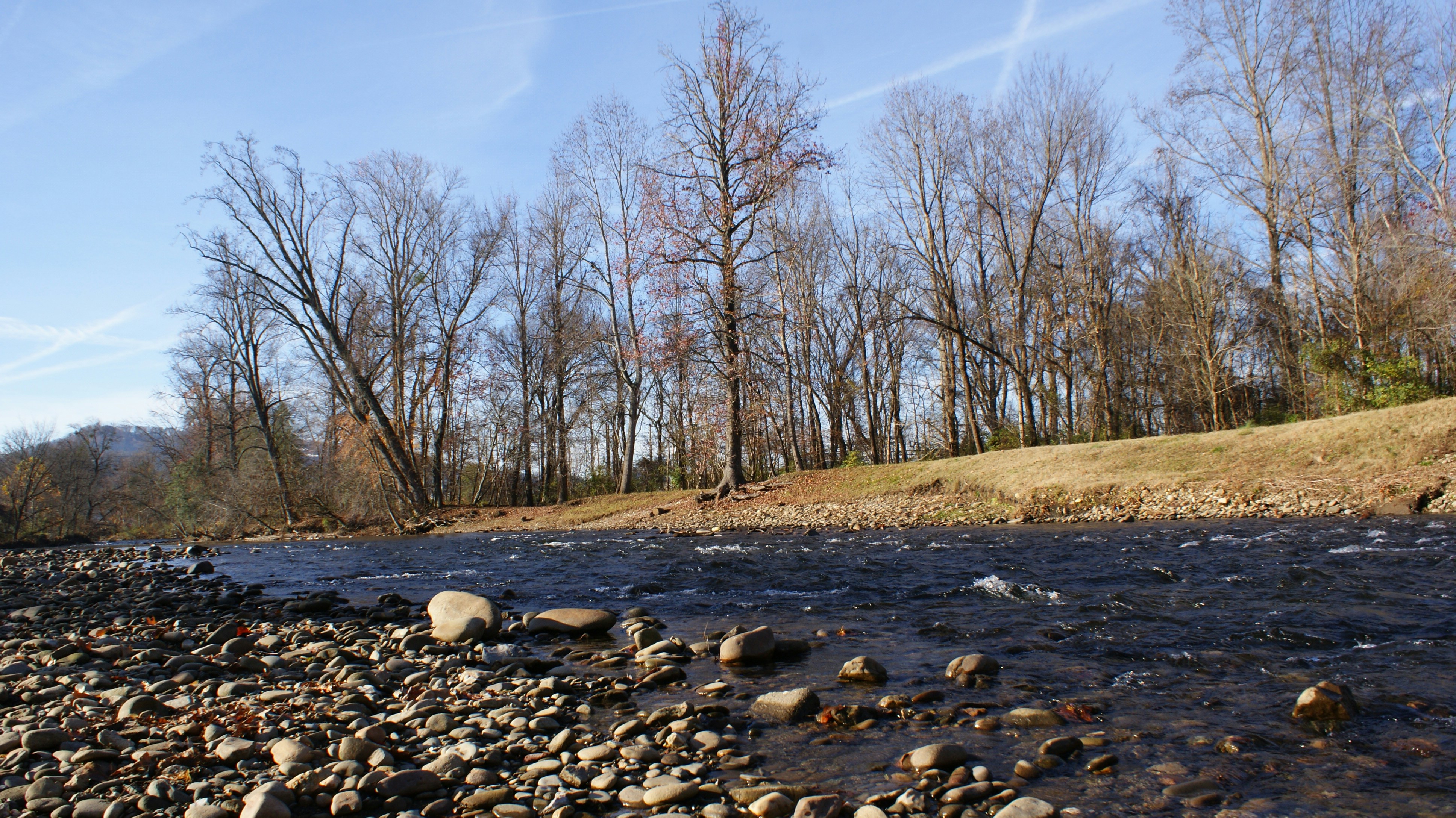 Free Unsplash photo from Yunior Soriano