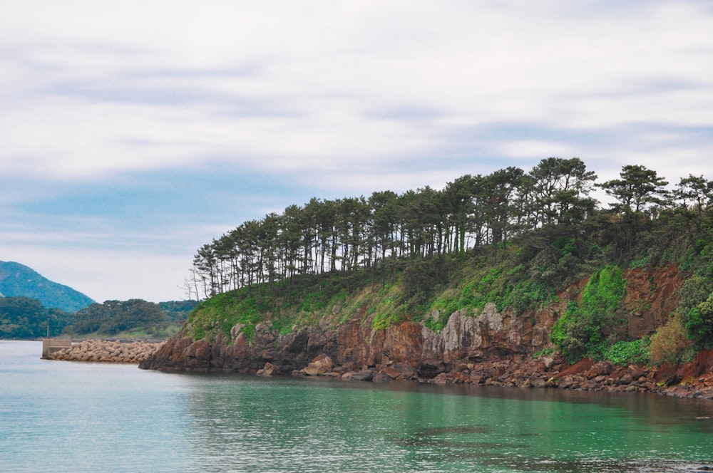 a body of water surrounded by trees and rocks