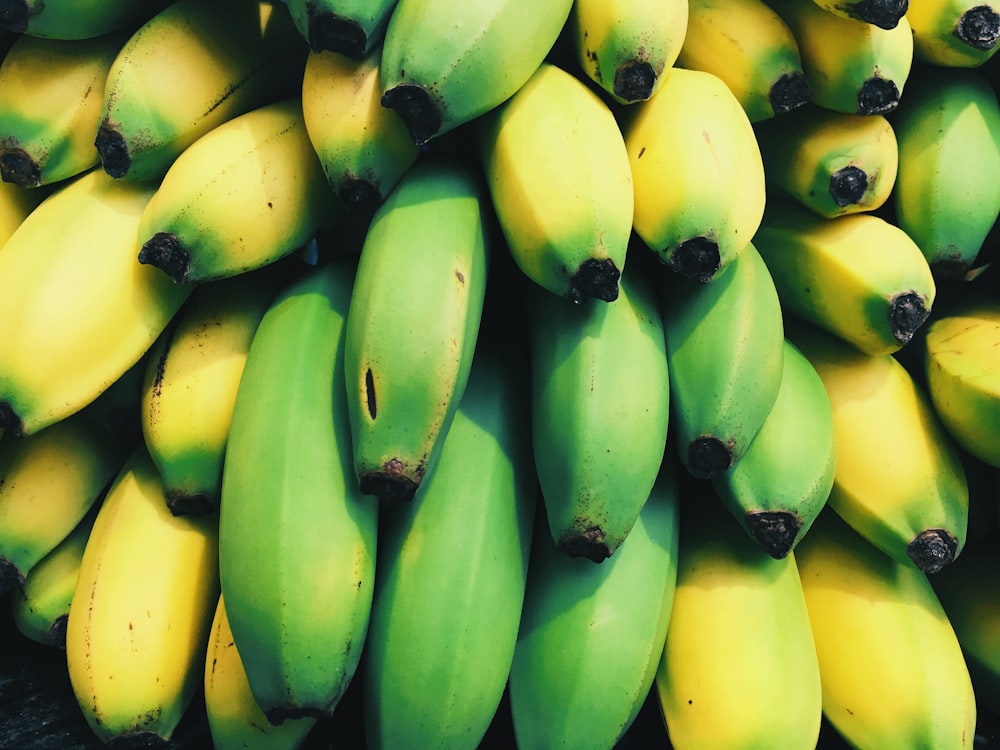 바나나의 얕은 초점 사진