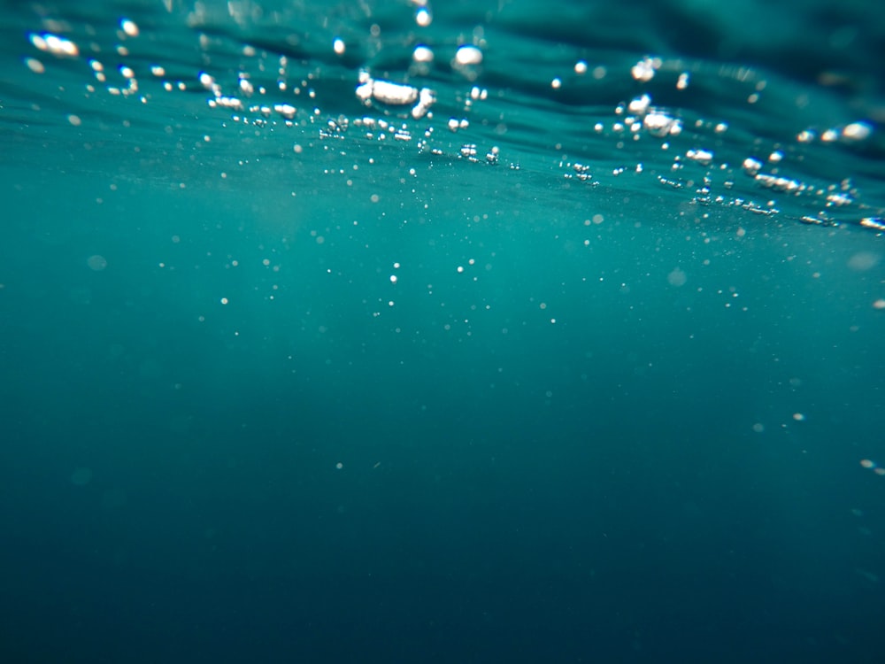 An image taken underwater.