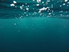 photo of underwater