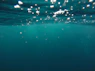 photo of underwater