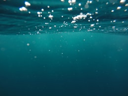 photo of underwater