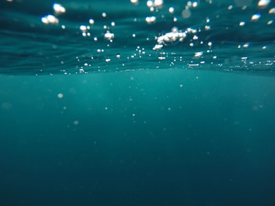 photo of underwater water zoom background