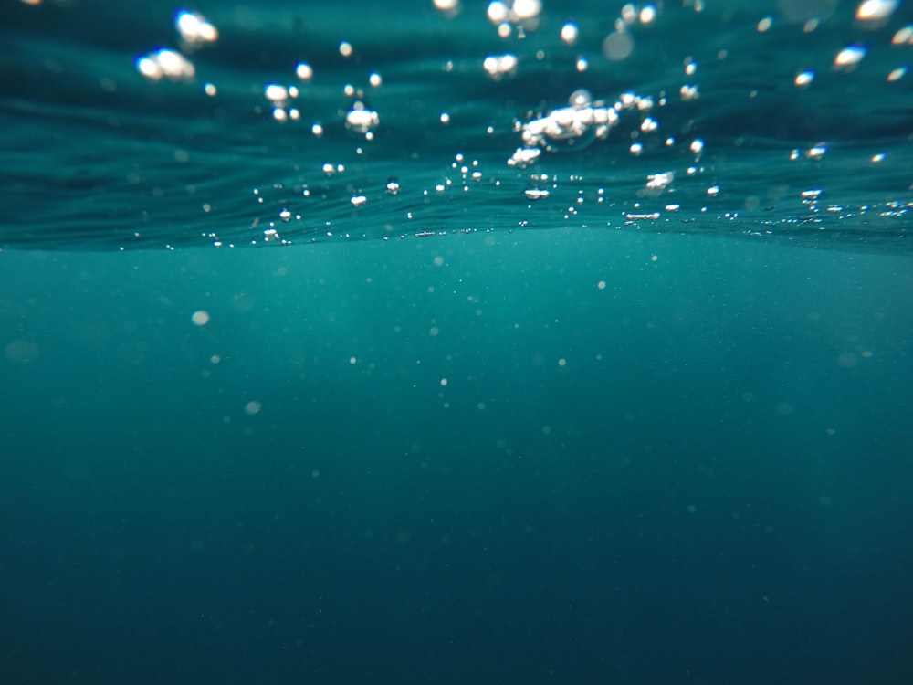 Foto de bajo el agua