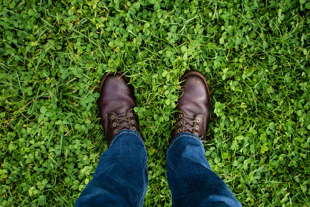 청바지를 입고 갈색 가죽 정장 구두를 신고 푸른 풀밭에 서 있는 사람