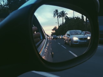 A side mirror of a car reflecting a busy road with cars driving in a line. Palm trees and a sunset sky are visible in the background, adding a tropical feel. The driver's hand is partially visible outside the window.