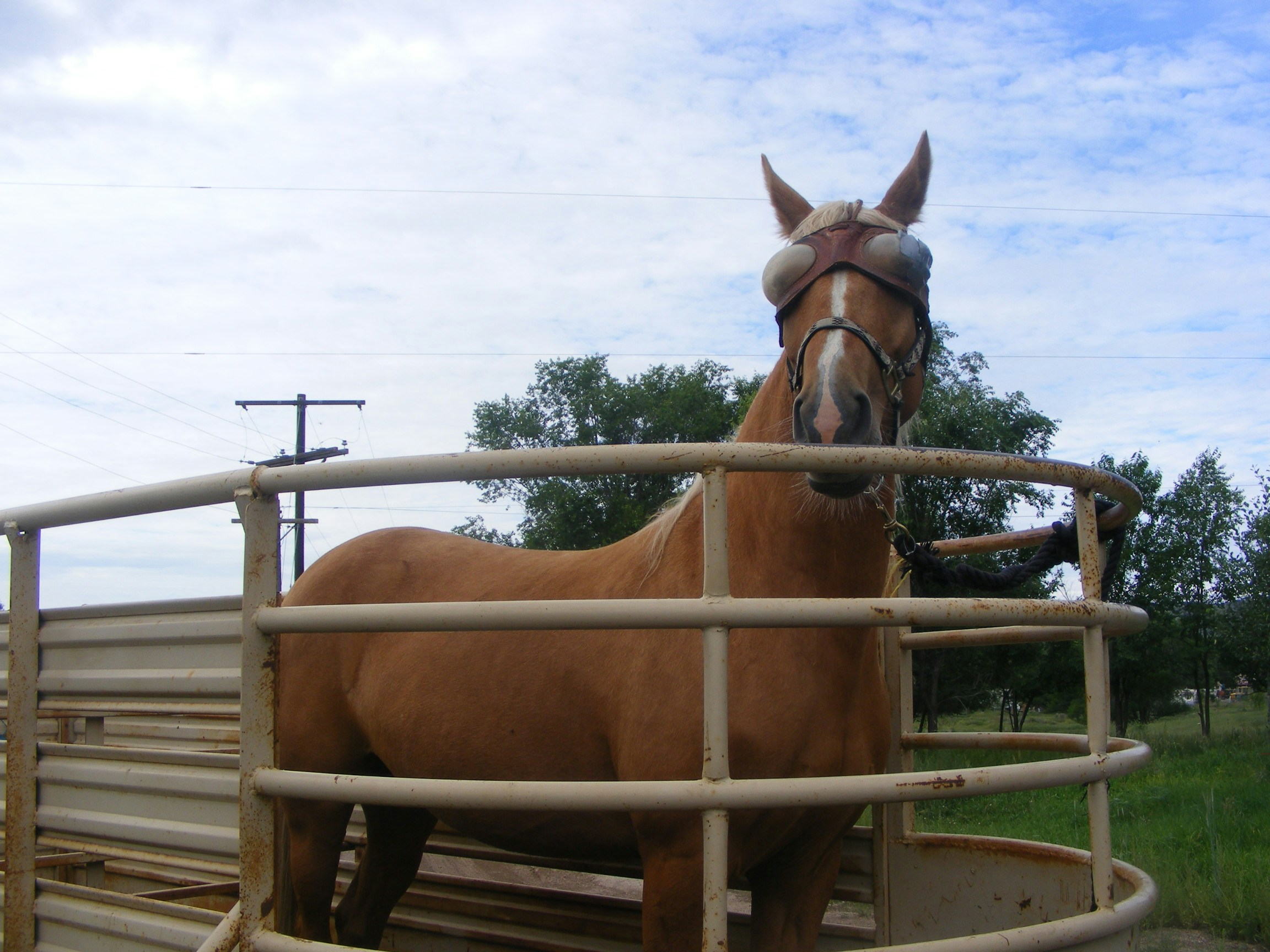 Free Unsplash photo from Liza Marron