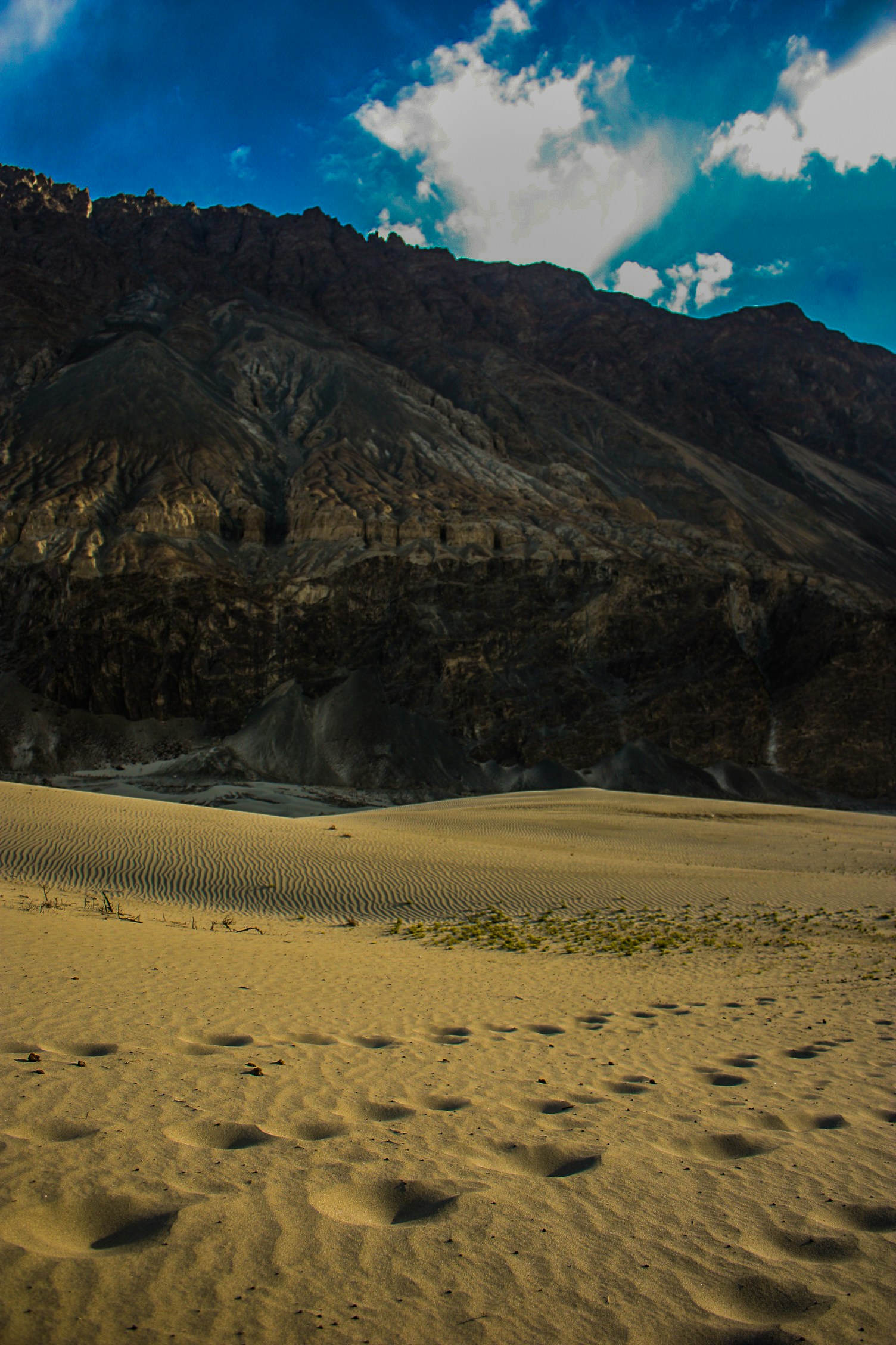 Free Unsplash photo from Abhinav Jha