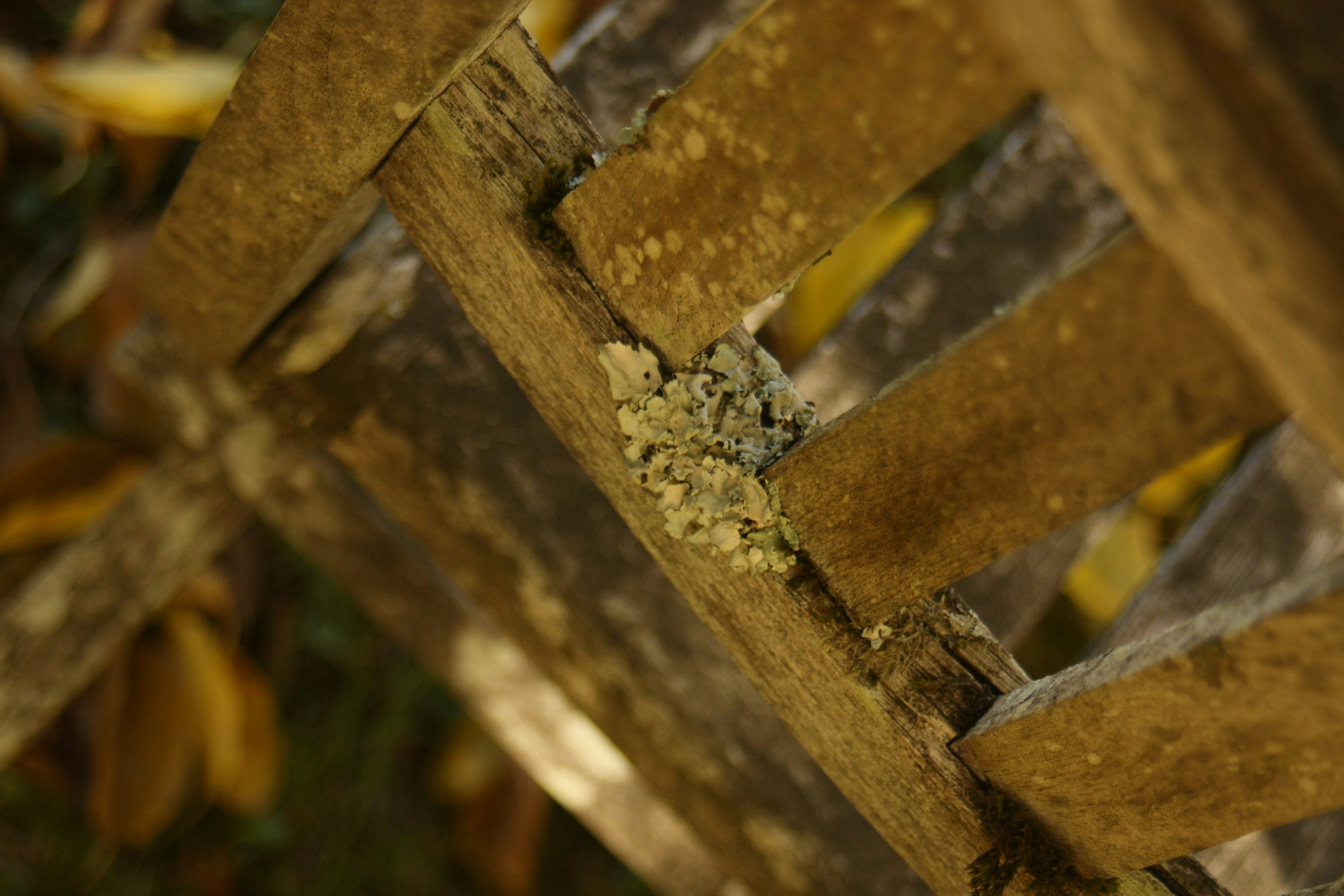 Free Unsplash photo from Pauline Leclercq