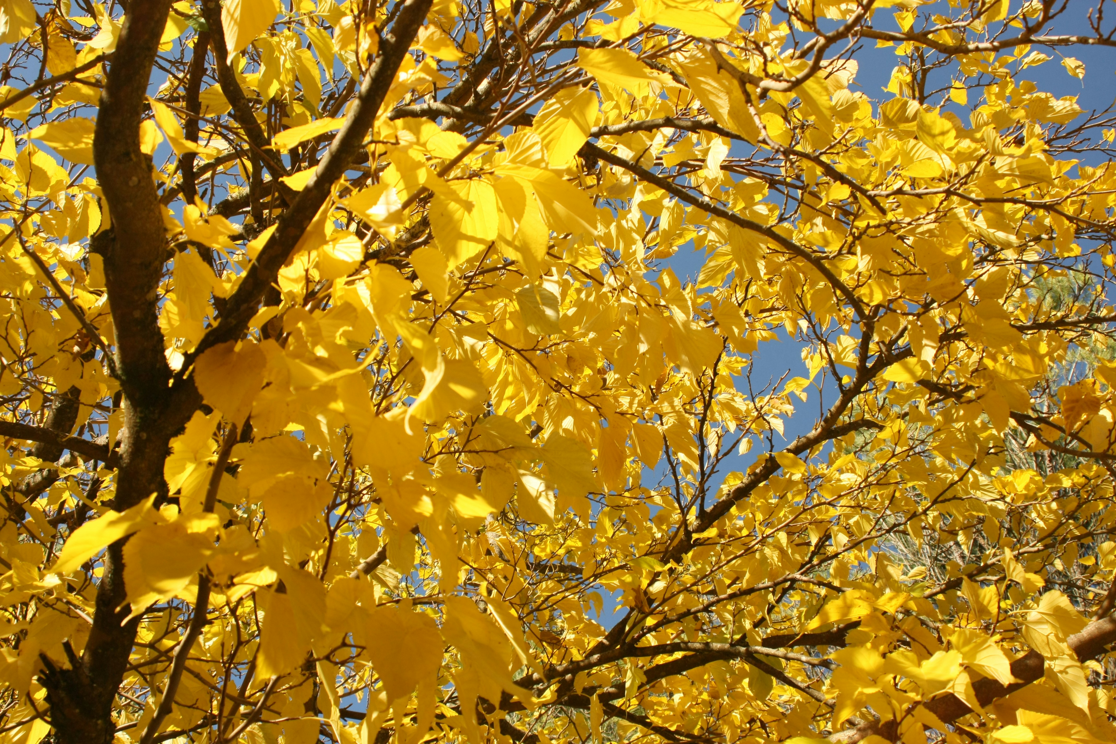 Free Unsplash photo from Pauline Leclercq