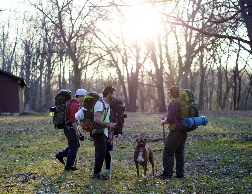 men standing in the middle of forest