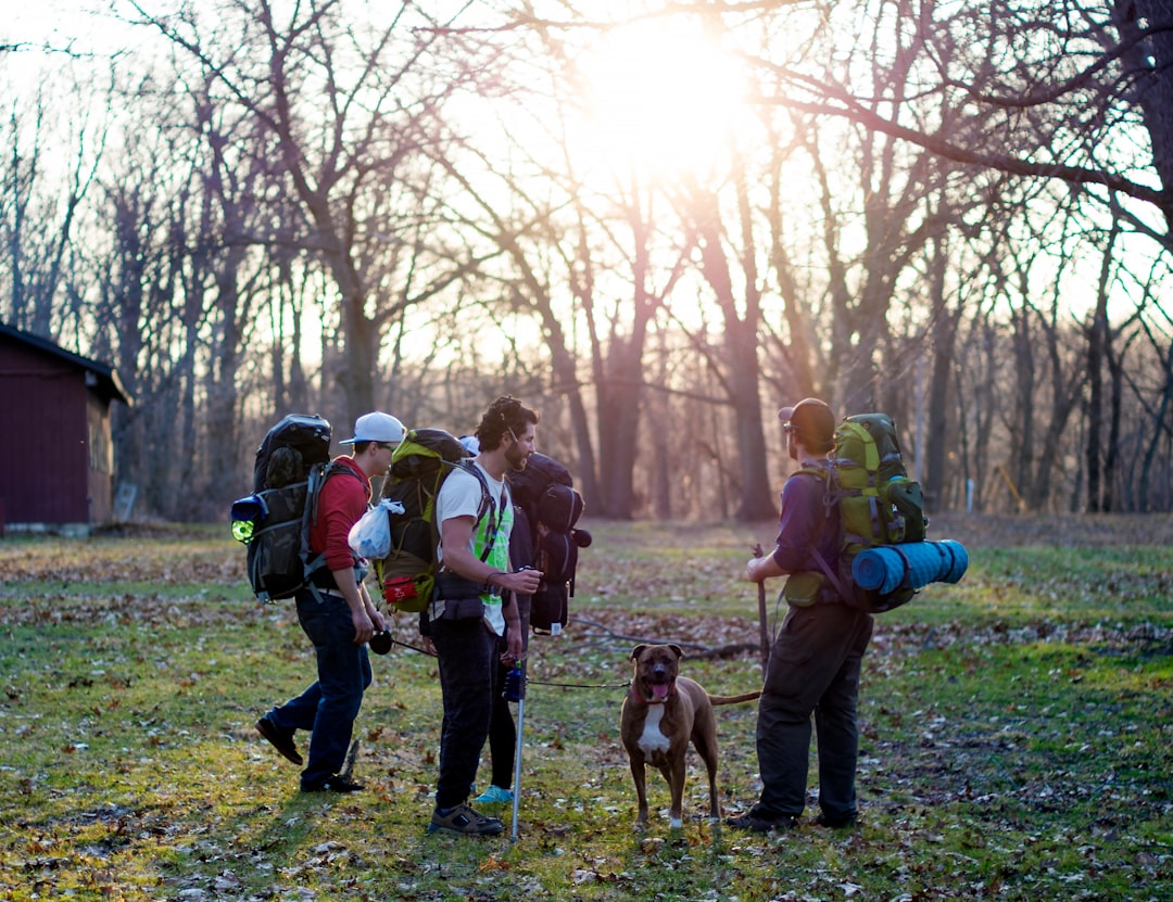 men standing in the middle of forest