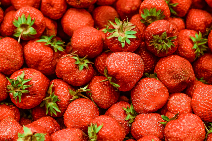 Fresh red strawberries glistening close up