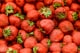 Fresas con crema