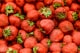 Erdbeeren 250g