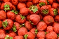Frutas selecionadas