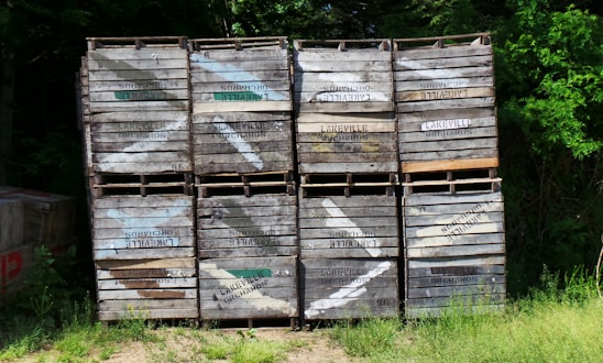 A stack of wooden crates, each labeled with 'Lakeville Orchards', is placed against a backdrop of dense green foliage. The crates, with visible wear and some faded paint, are arranged in a neat grid pattern. Sunlight filters through the trees, casting dappled shadows on the crates and the ground, which is covered with grass.