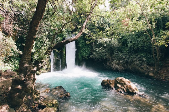 green and white body of water near forest in Hermon Stream Nature Reserve Israel