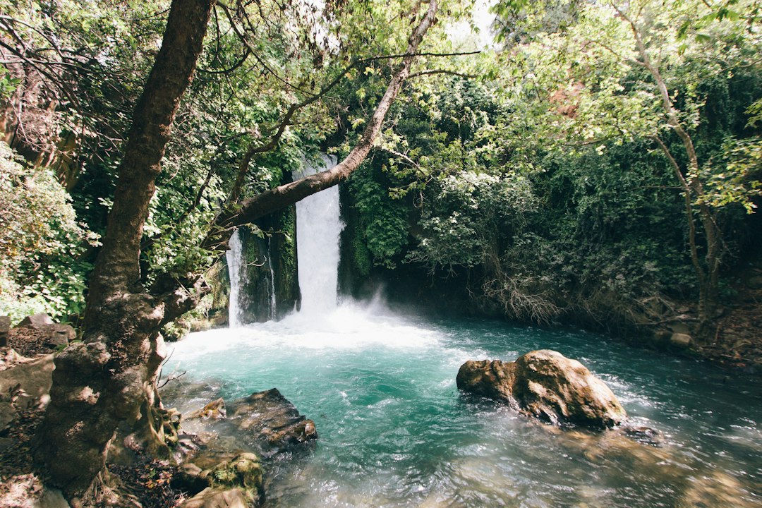 Journey Through Nature: 6 Breathtaking Series to Watch After Planet… — Journey Through Nature, photo 14