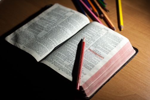 A child proudly showing their colored and drawn Bible pages.