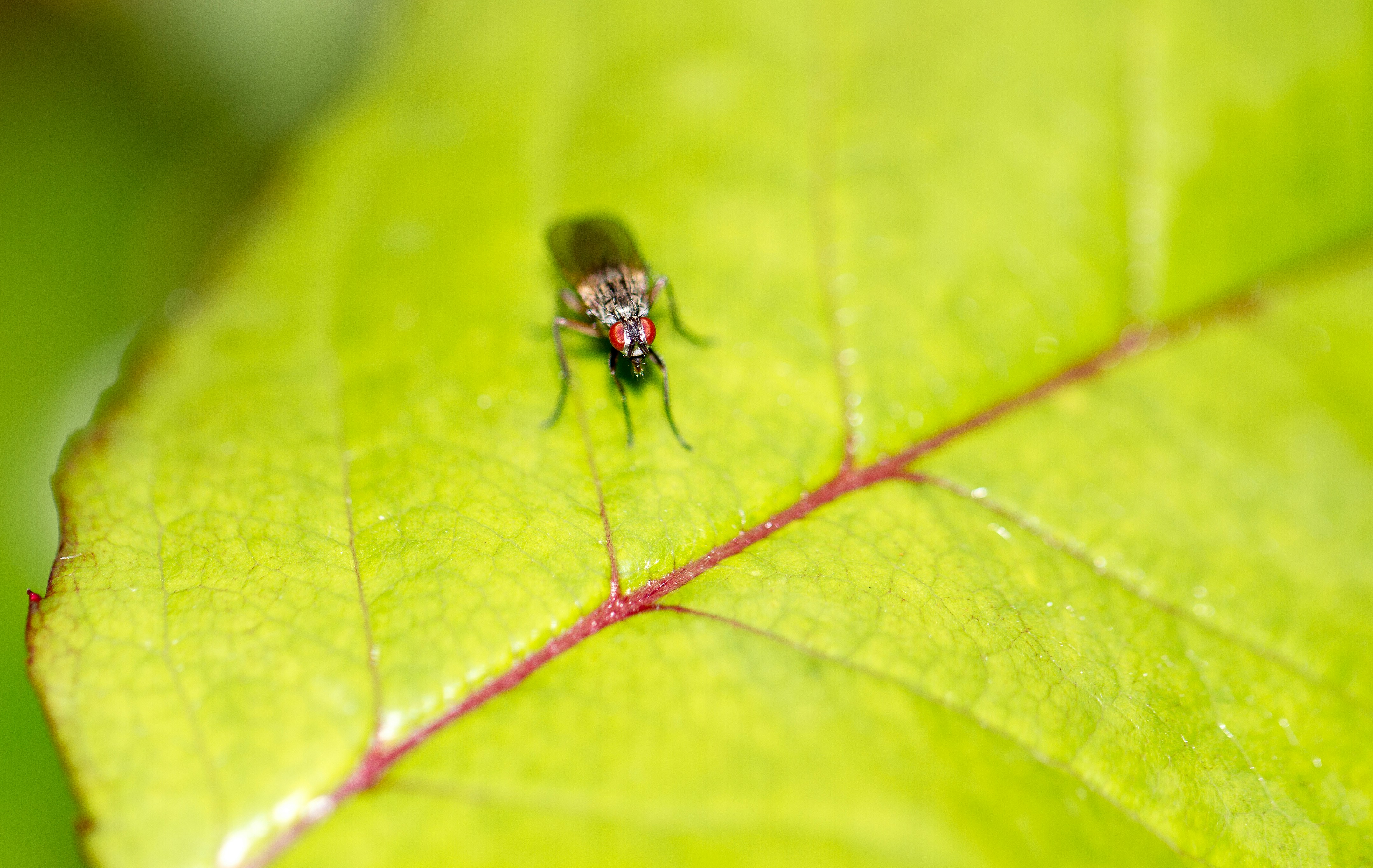 Free Unsplash photo from Ritchie Valens