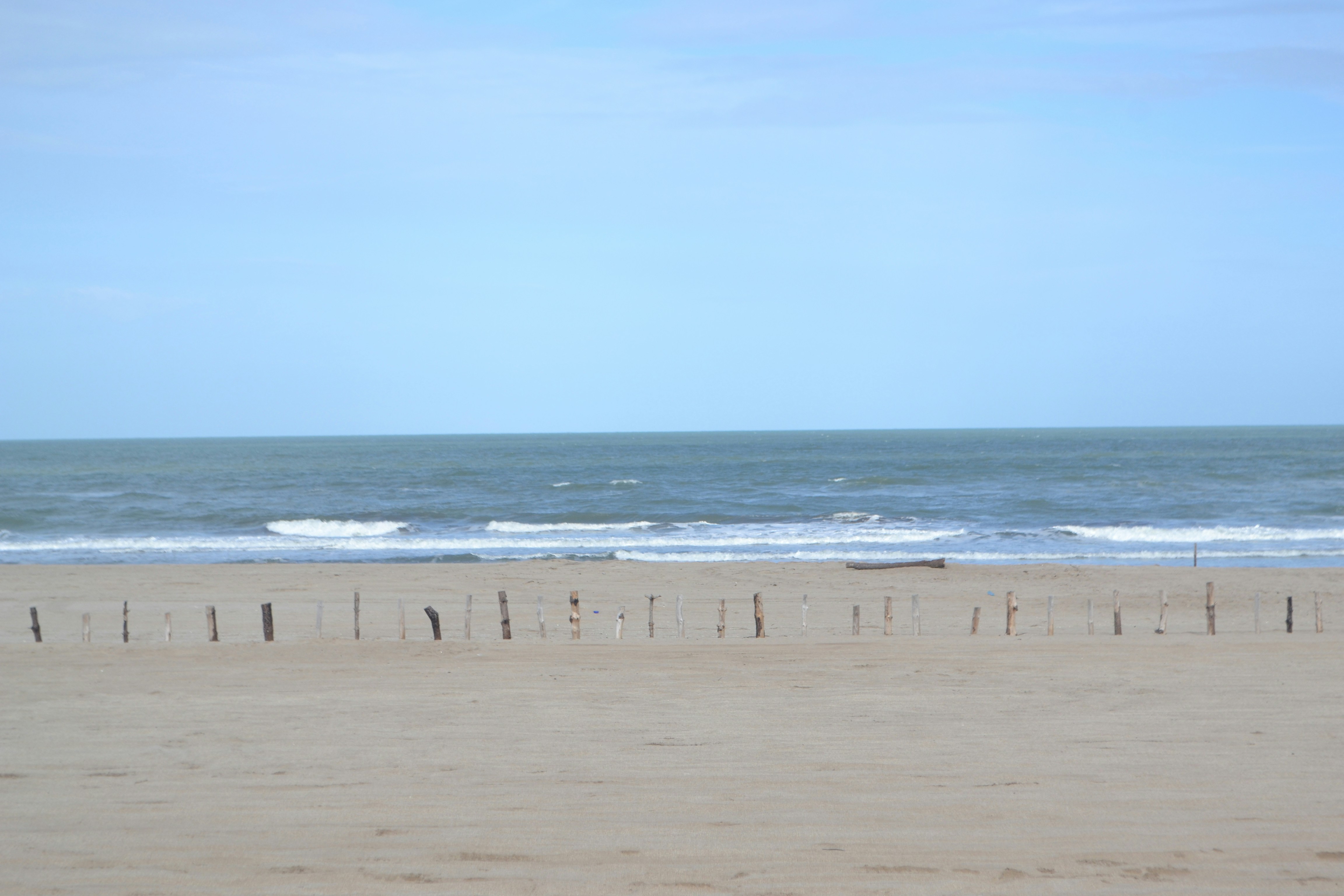 Free Unsplash photo from Rocio Velarde