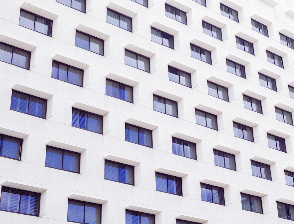 white concrete building