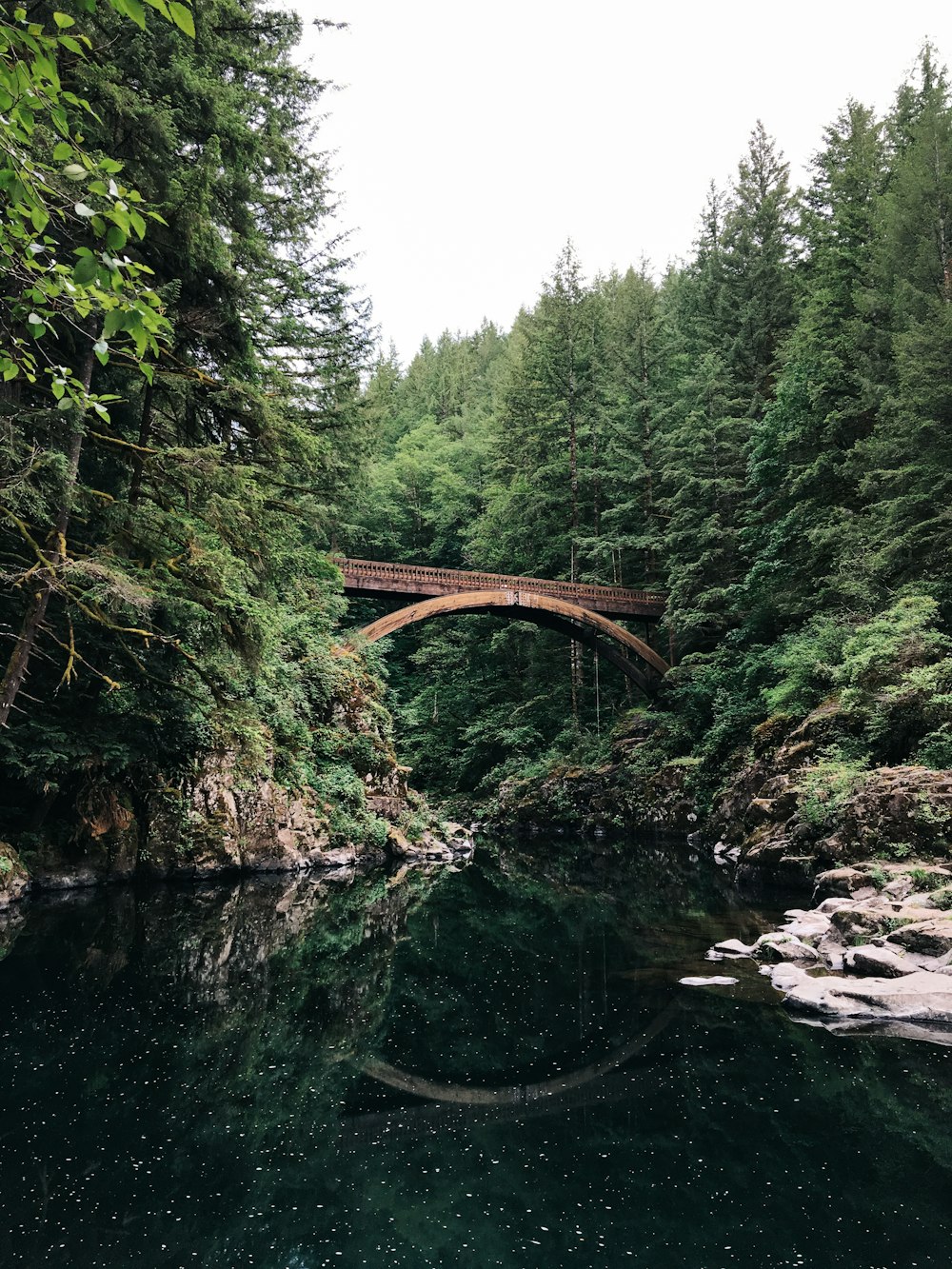 Brücke in der Nähe des Waldes