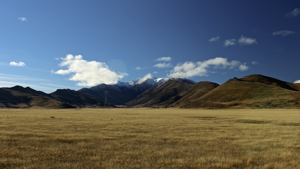 foto di campo d'erba e montagne