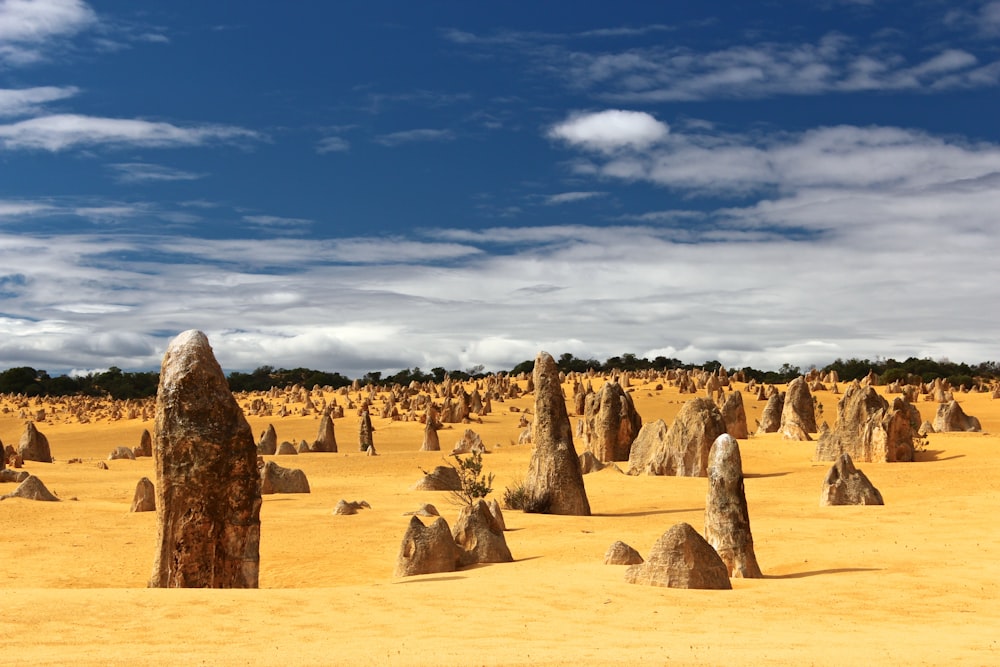 field of rocks