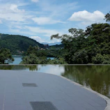 A serene puzzle game interface featuring nature-themed tiles and calming colors.