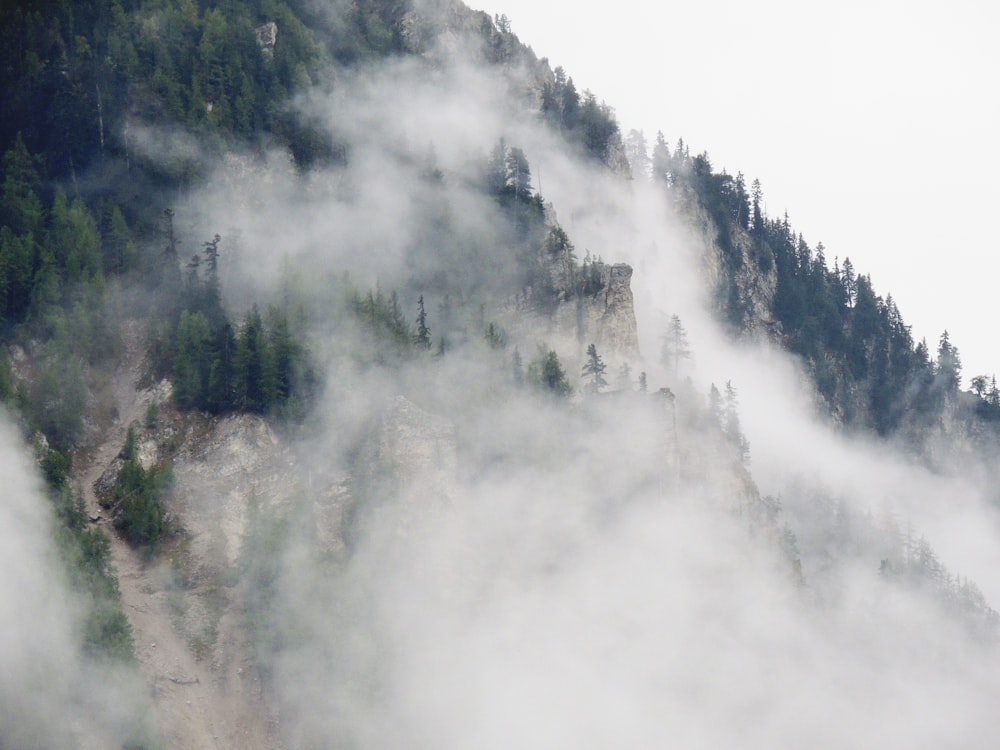 Fotografia de paisagem de Green Mountain