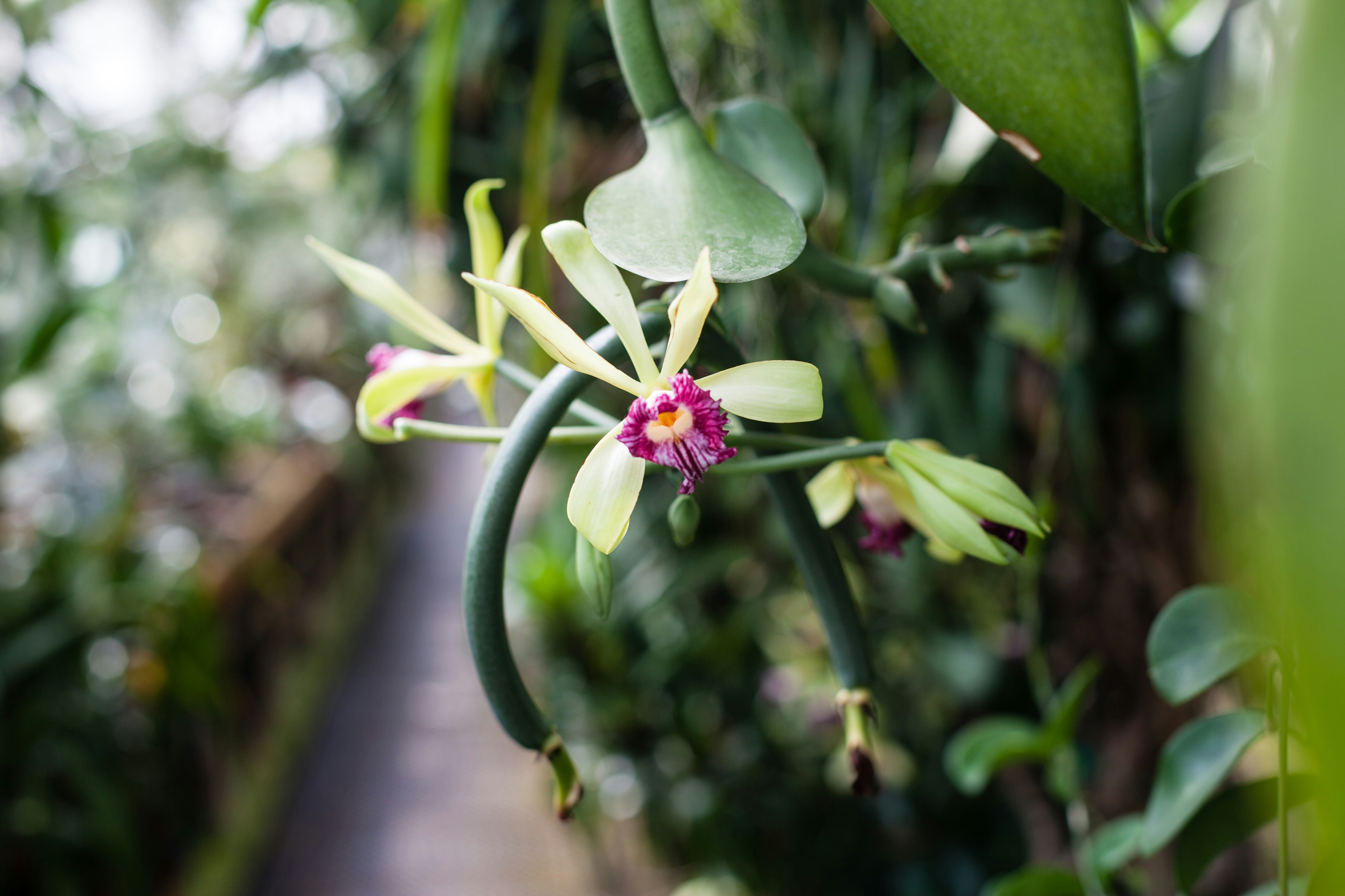 Free Unsplash photo from Francois Botha