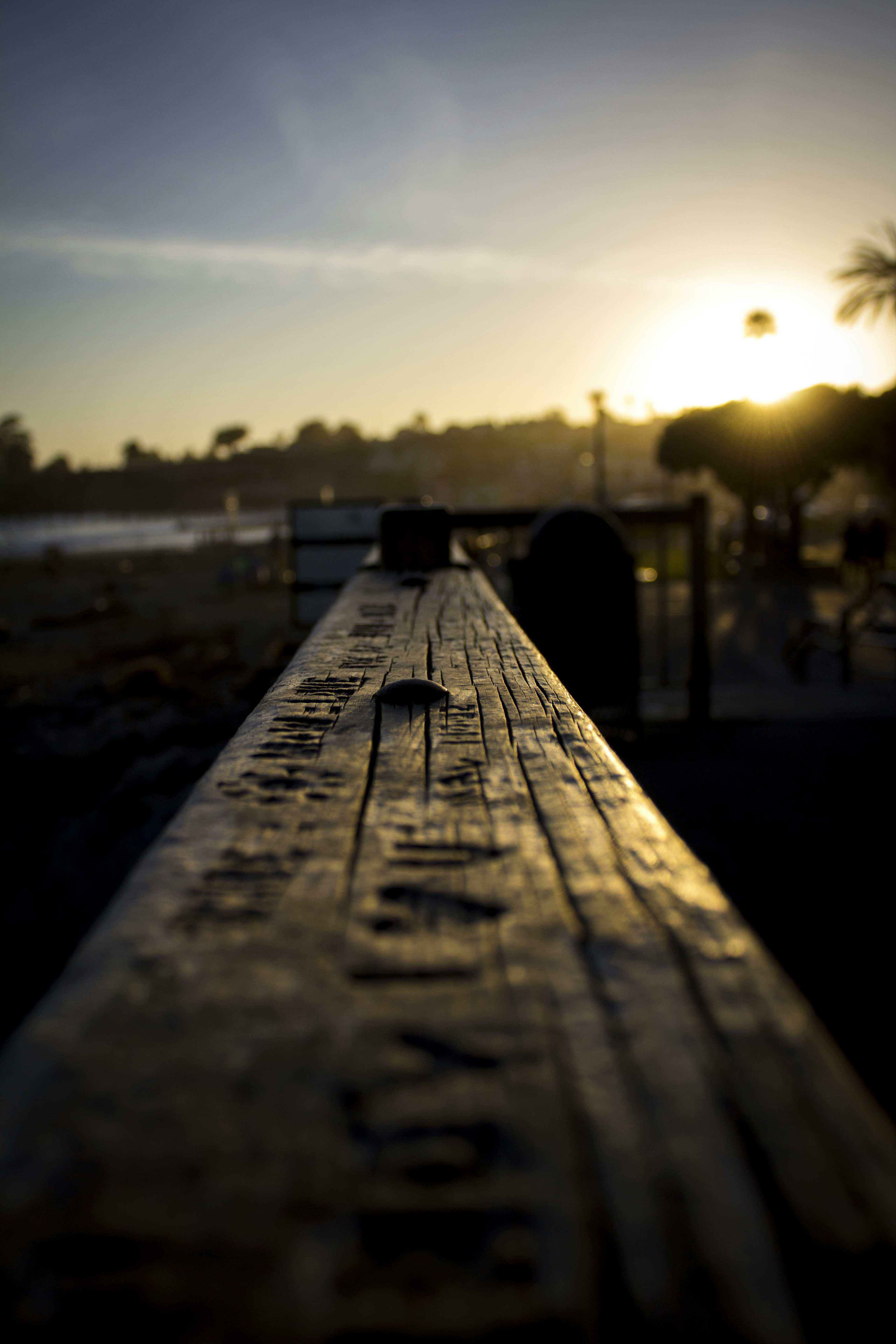 梦境的镜像，一个女生频繁提及梦到我的深层含义探索