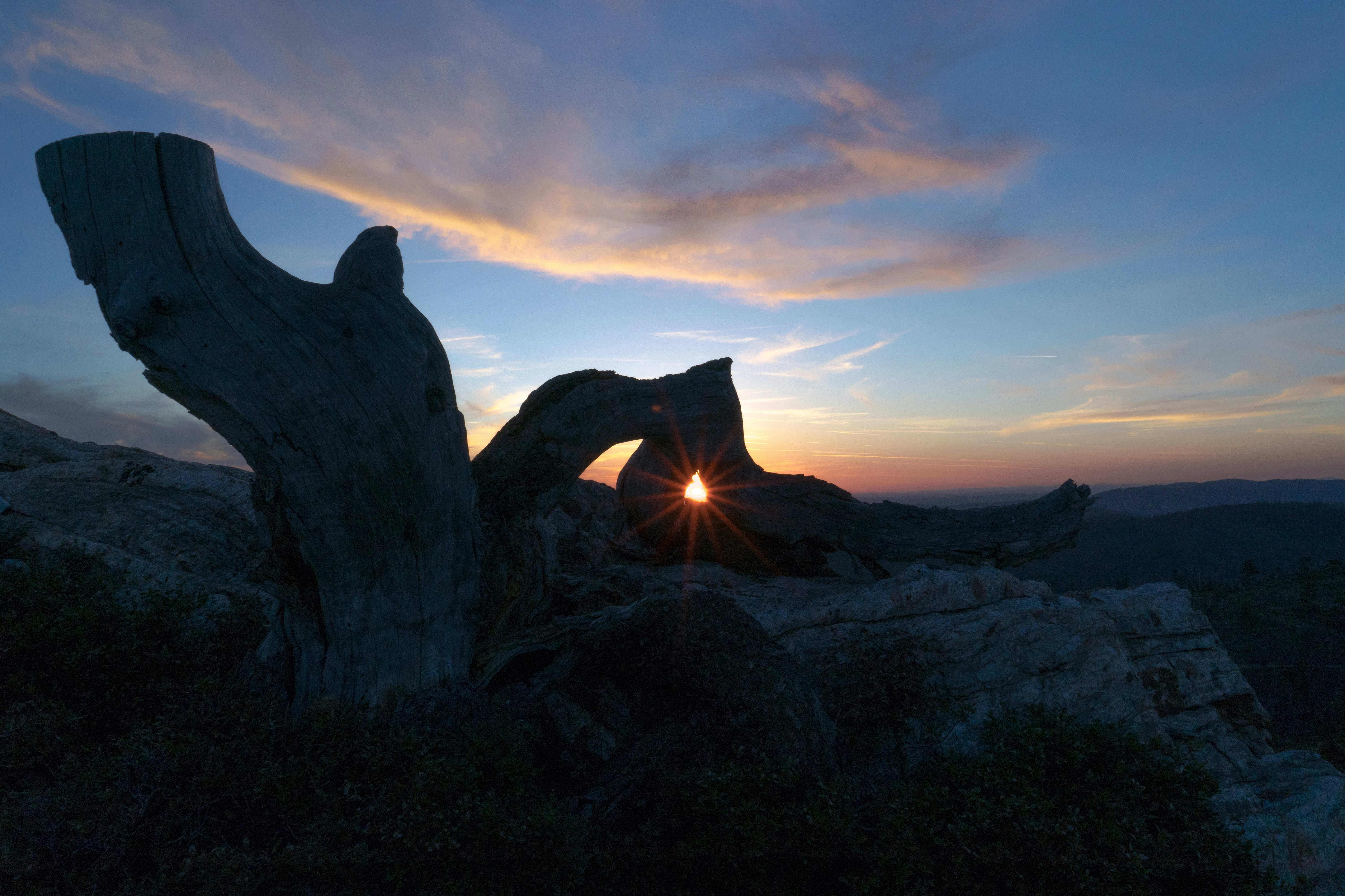 Free Unsplash photo from William Poulos