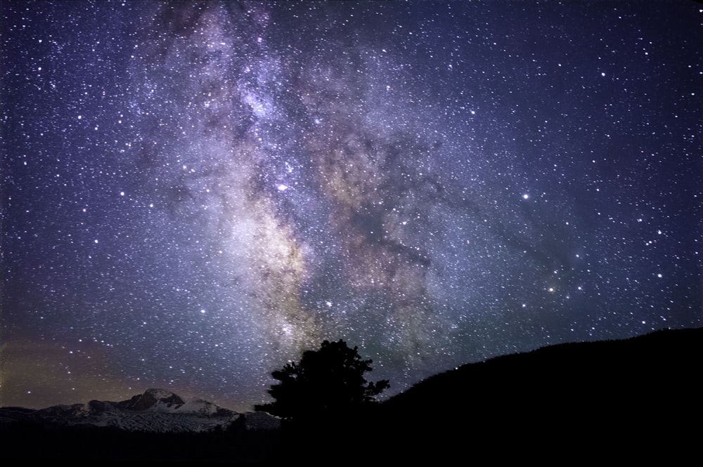 silhueta de árvores e montanha sob o céu azul à noite